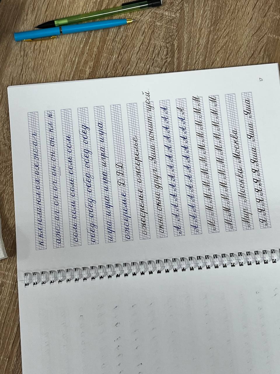 photo 5377419039254633097 y