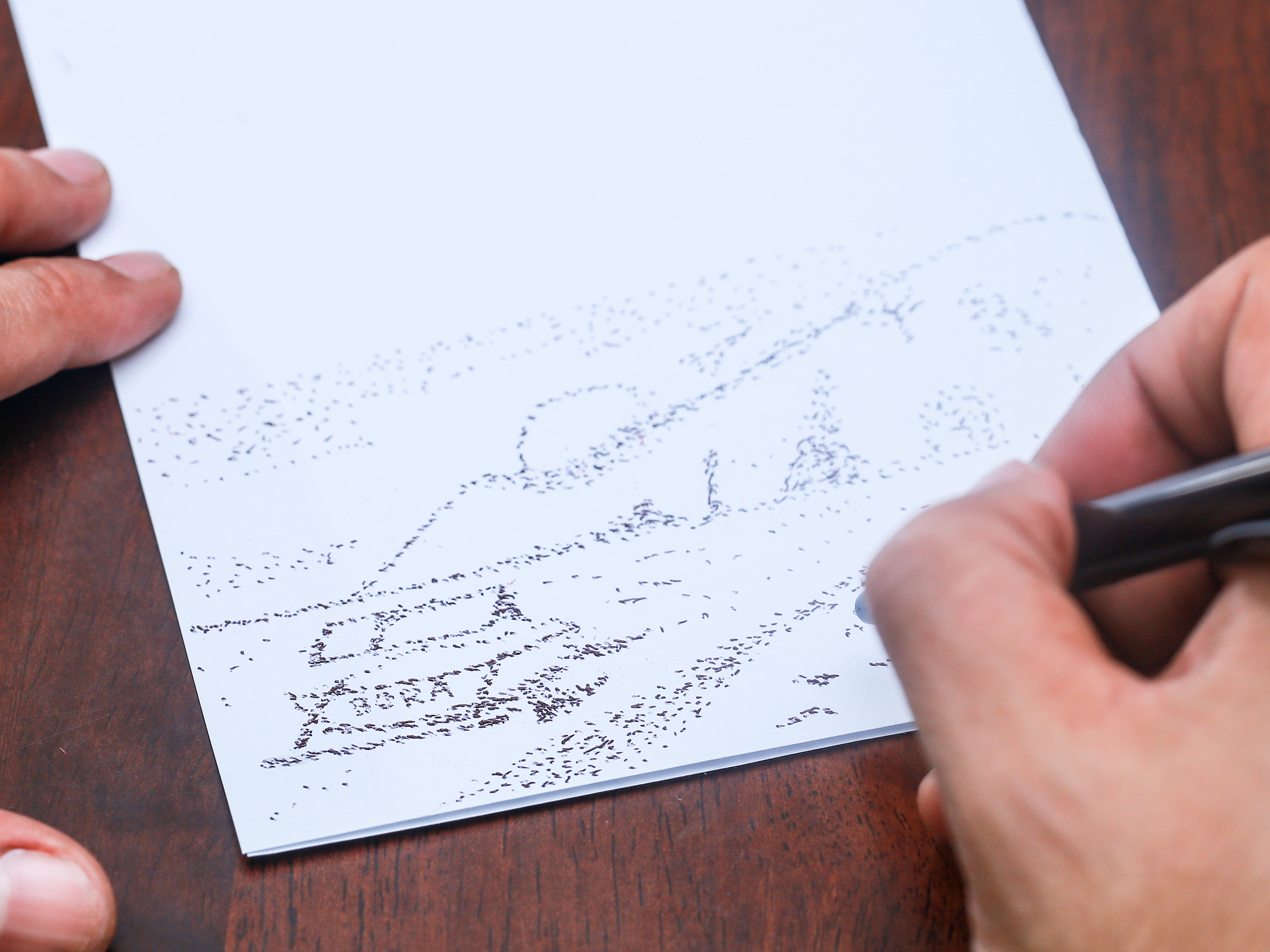 Stipple Step 7 Version 2