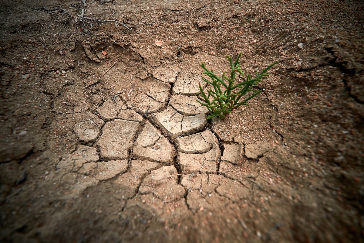 b464d48a7c834113a4c4e3a1a736f960.max 1200x800