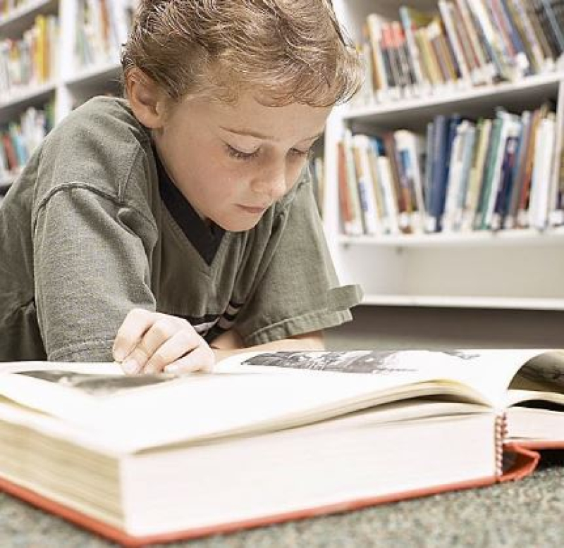 Т. А. Алтушкина — Учебники истории