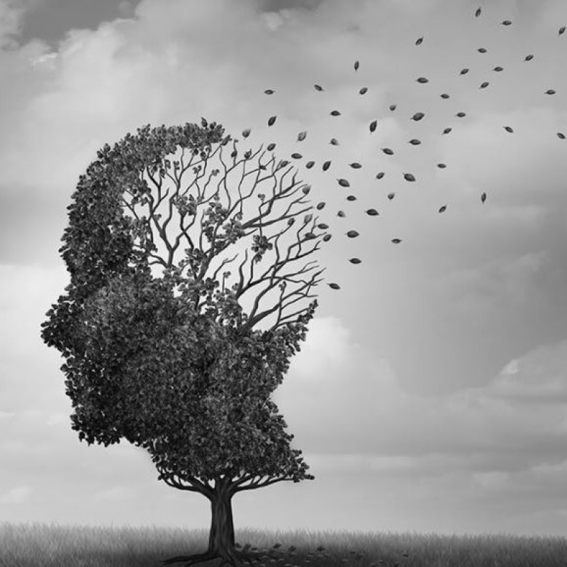 Сциентистски-технократическая и постмодернистская парадигмы современного образования