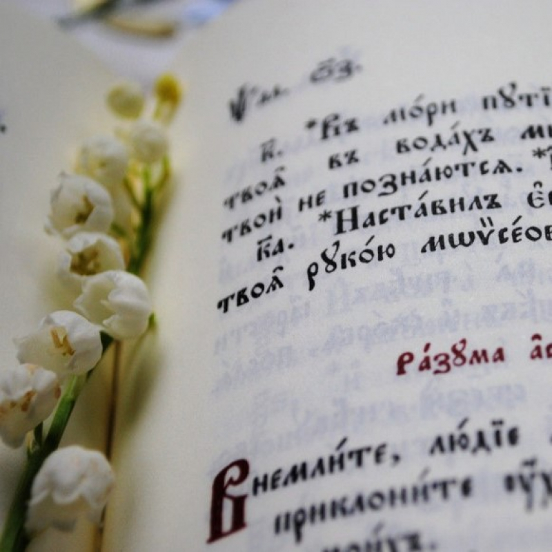 Л. И. Маршева — Праславянский, церковнославянский, русский…