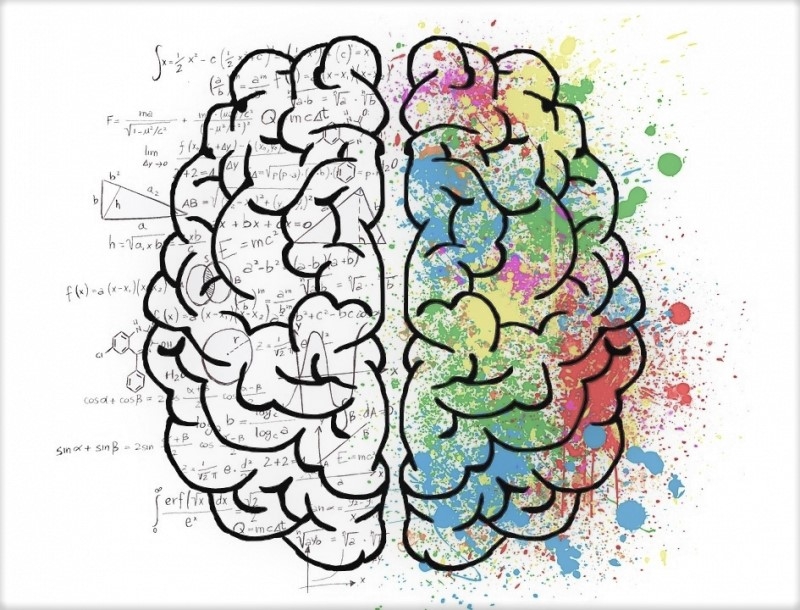 В. П. Урлапова — О физиках, лириках и способностях к учёбе