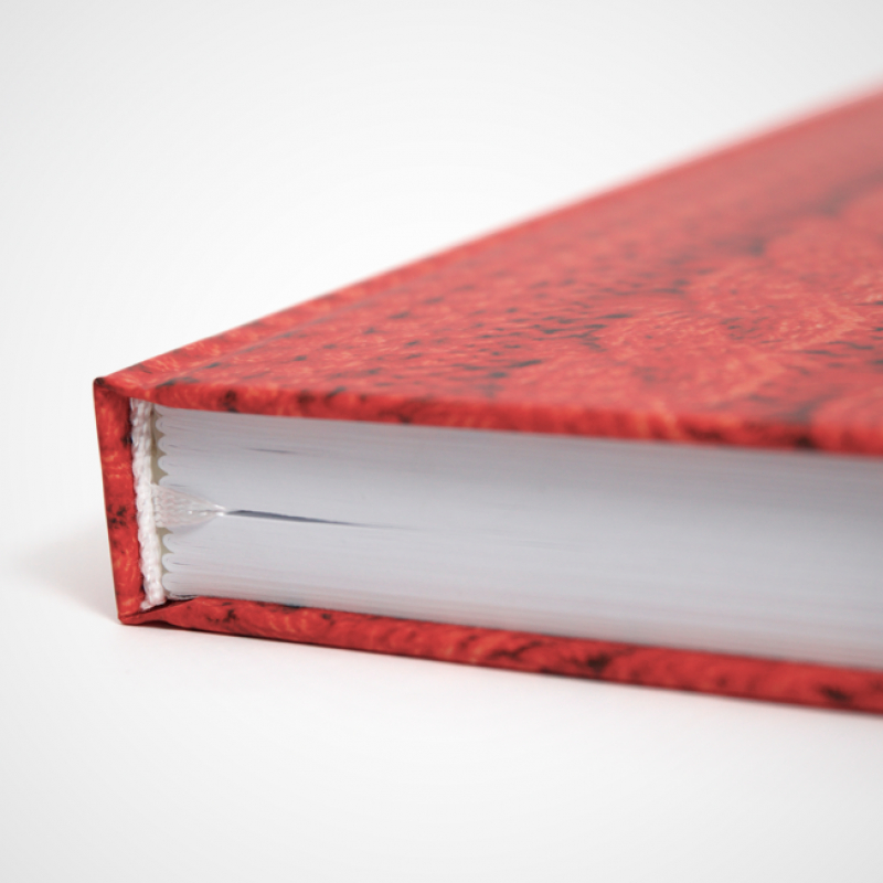 А. Фролков ― К. Д. Ушинский. Краткий биографический очерк