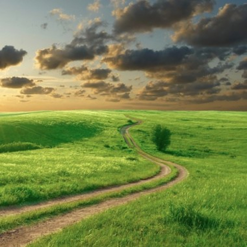 3 класс. Уроки № 2, 3 («Детский мир. Из природы. Часть первая», «Детский мир. Хрестоматия»)