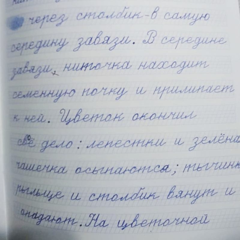 4 класс. Наблюдение над текстом. Урок № 66