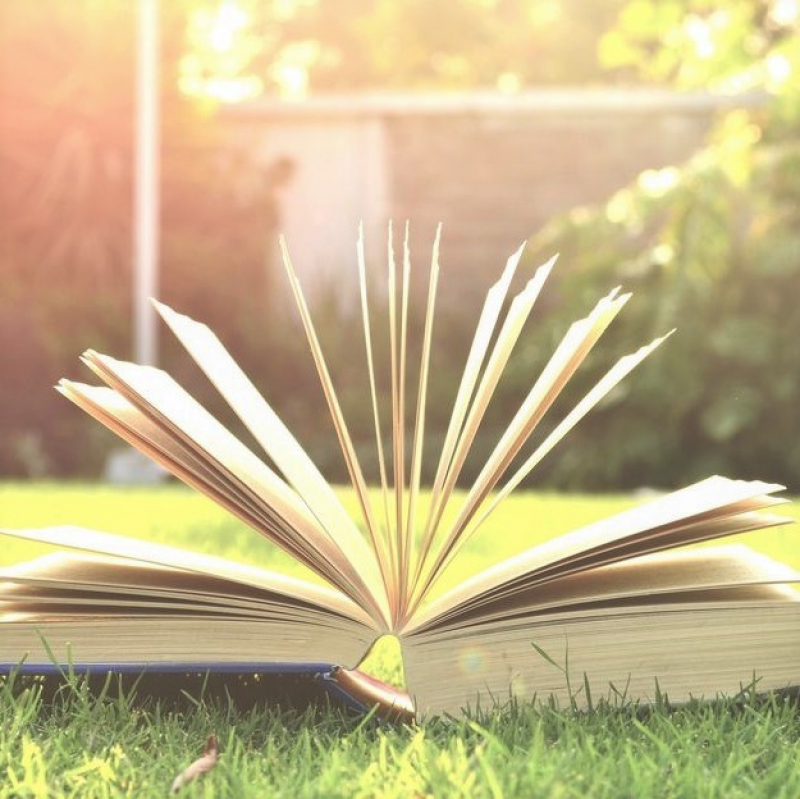 В. П. Урлапова — Знание, незнание, иллюзия знаний…