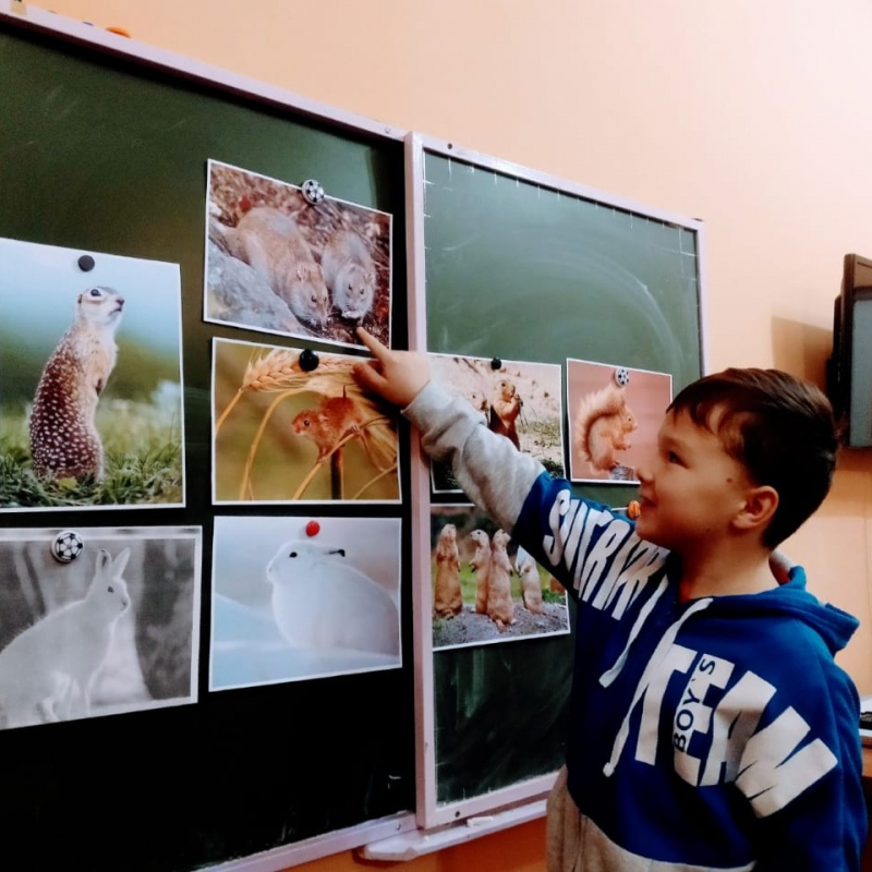 3 класс. Урок № 69 («Детский мир. Из природы. Часть первая»)