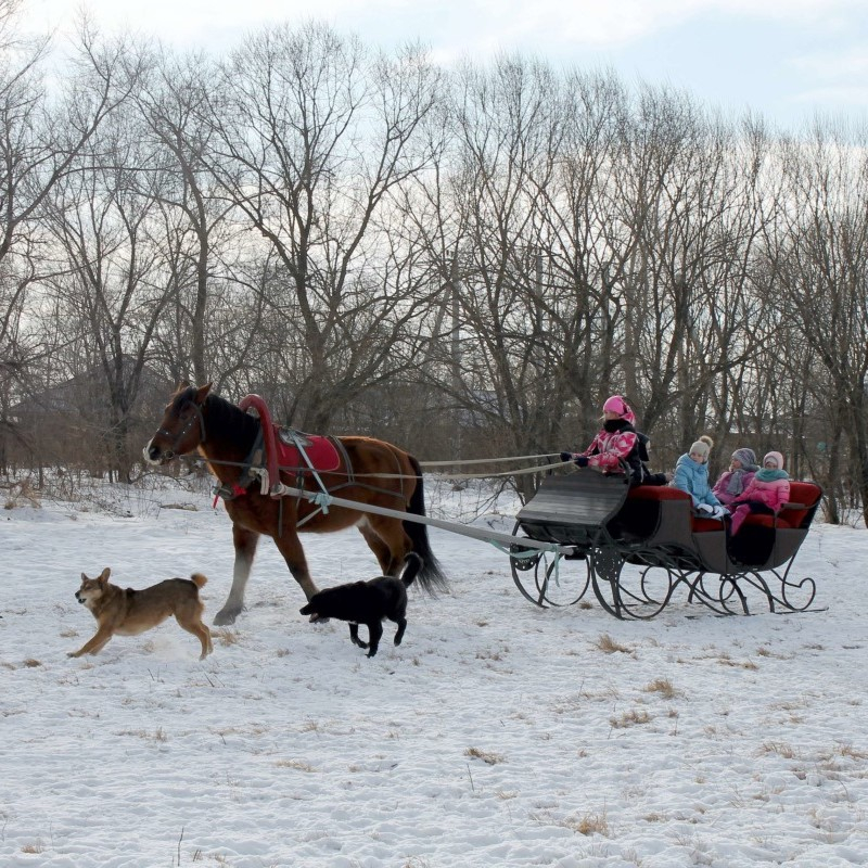 2 класс. Уроки № 90, 93 по Второй после Азбуки книге для чтения