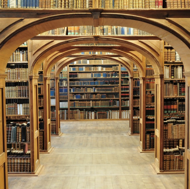 В. В. Дворцов — Глухота к родной речи