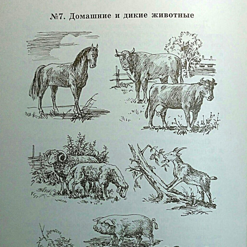 1 класс. Уроки 16, 17, 18 по Первой после Азбуки книге для чтения