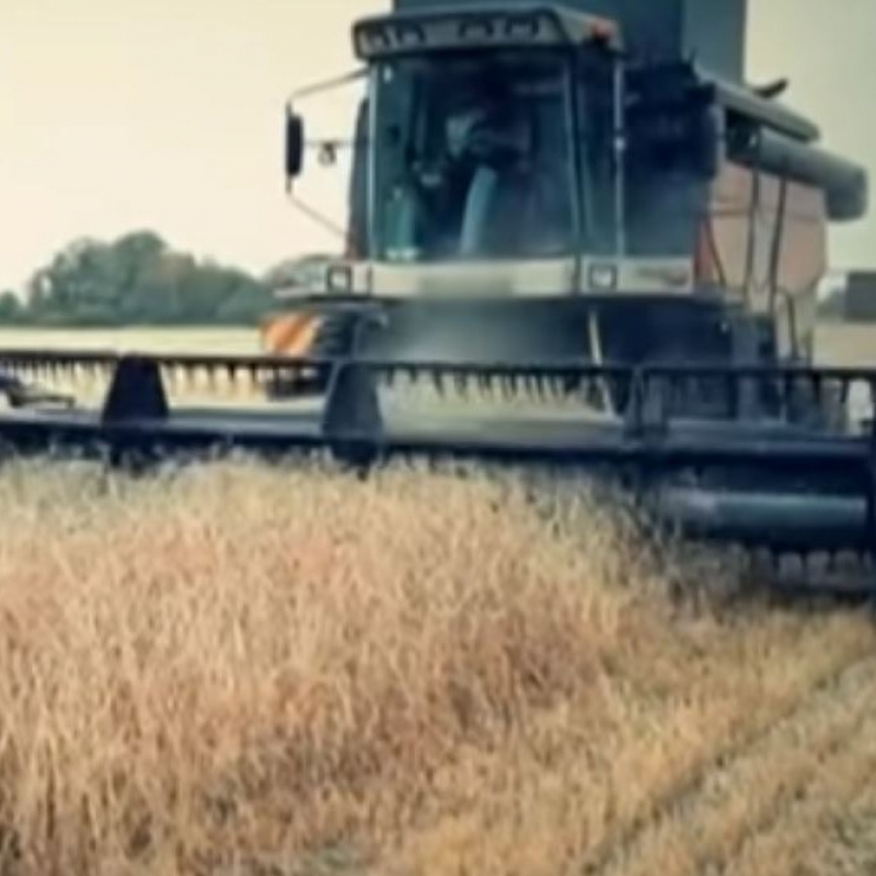 1 класс. Уроки № 40, 41 по Азбуке