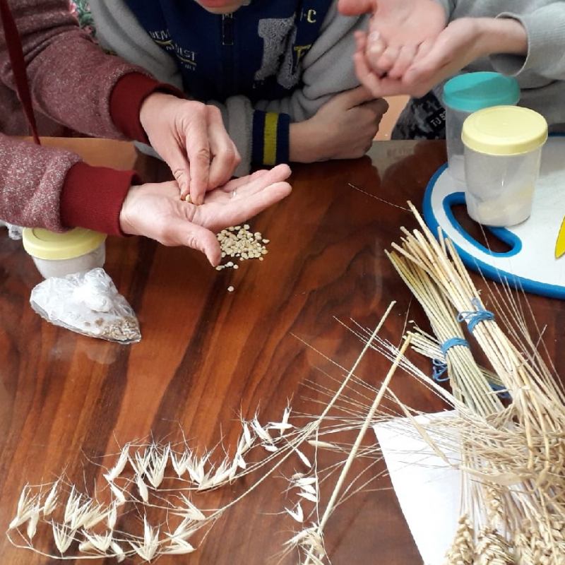 4 класс. Урок № 99 («Детский мир. Из природы. Часть вторая»)