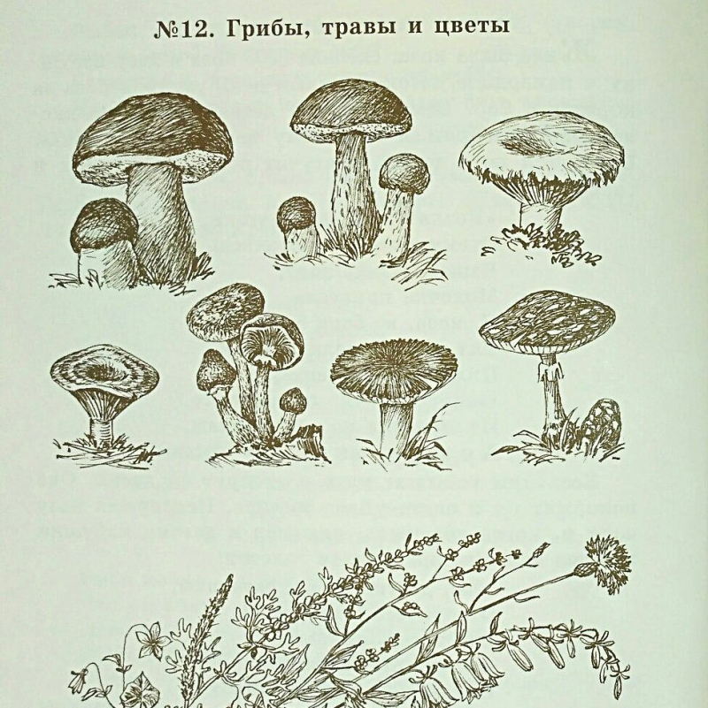 1 класс. Уроки № 28, 29 по Первой после Азбуки книге для чтения