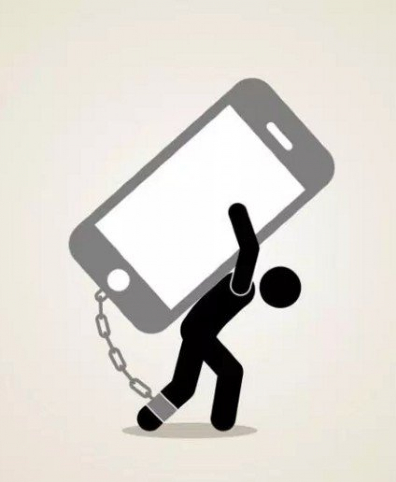 Д. Сокологорская — Функциональная неграмотность