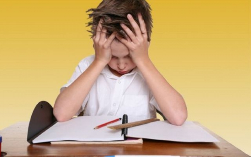 В. П. Урлапова — О схемах, кратких записях и смысле жизни