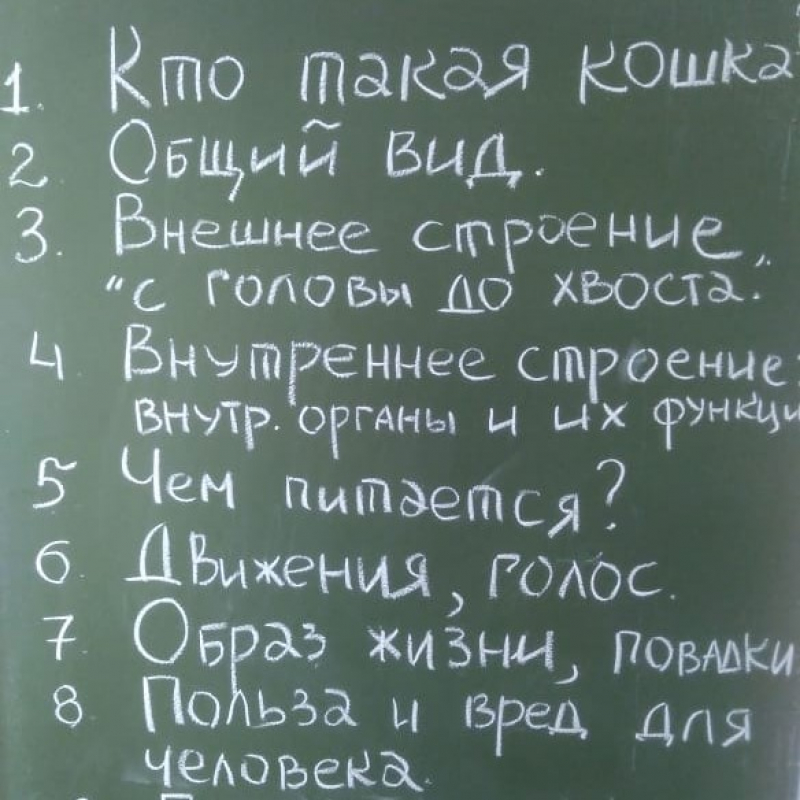 3 класс. Урок № 50 («Детский мир. Из природы. Часть первая»)